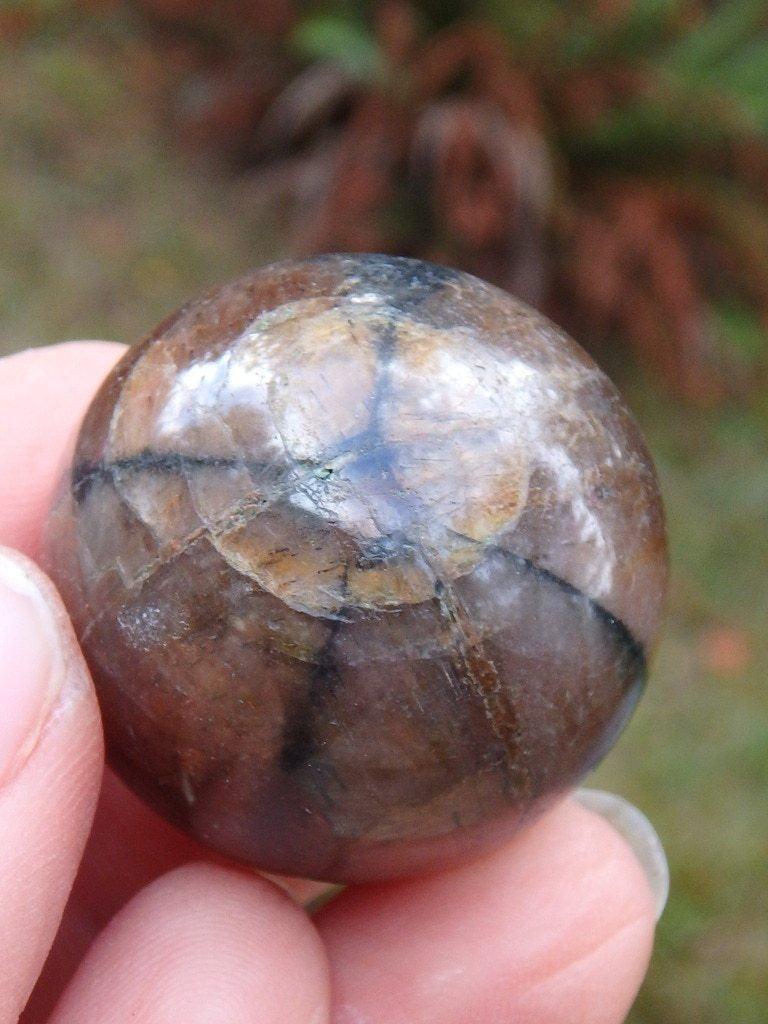 Earthy Brown Chiastolite Small Handheld Sphere Carving - Earth Family Crystals