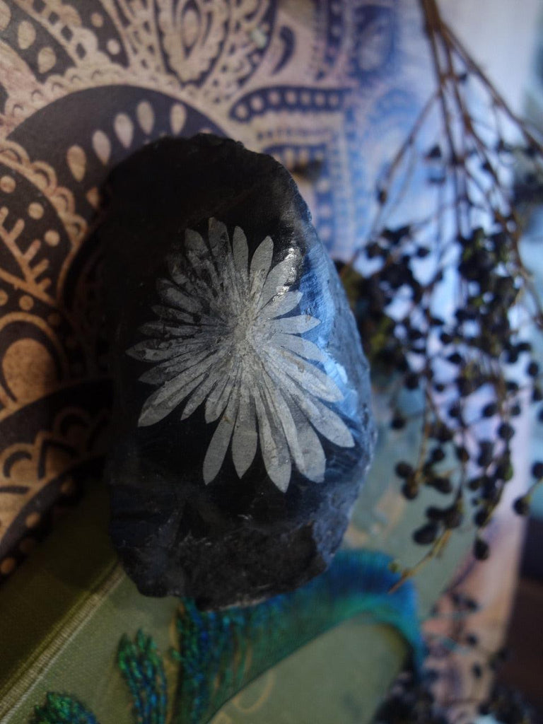 RESERVED FOR VANESSA~ Incredible Natural Flower Pattern Chrysanthemum Stone Specimen - Earth Family Crystals
