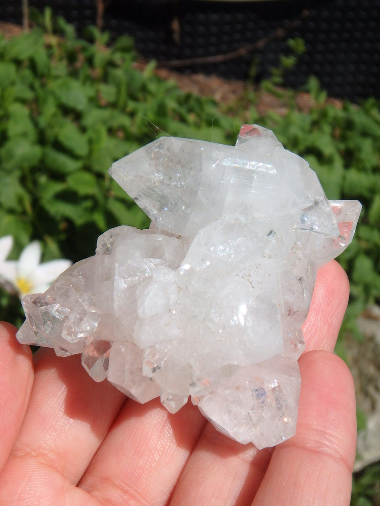 Extreme Brilliant Shine Clear Apophyllite Cluster From India - Earth Family Crystals