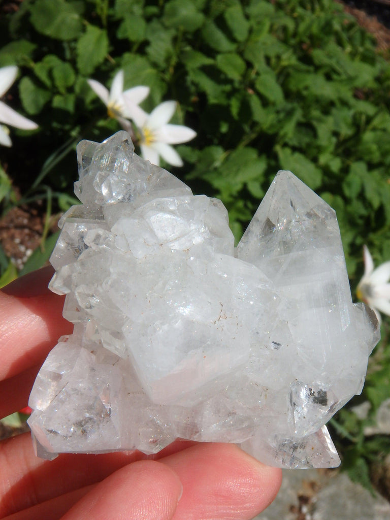 Extreme Brilliant Shine Clear Apophyllite Cluster From India - Earth Family Crystals