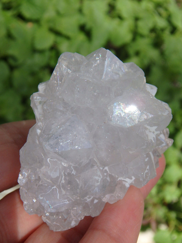 Natural Stalactite Quartz Specimen From India - Earth Family Crystals