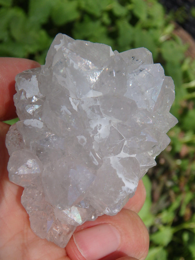 Natural Stalactite Quartz Specimen From India - Earth Family Crystals