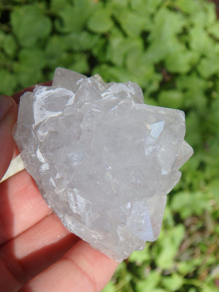 Natural Stalactite Quartz Specimen From India - Earth Family Crystals