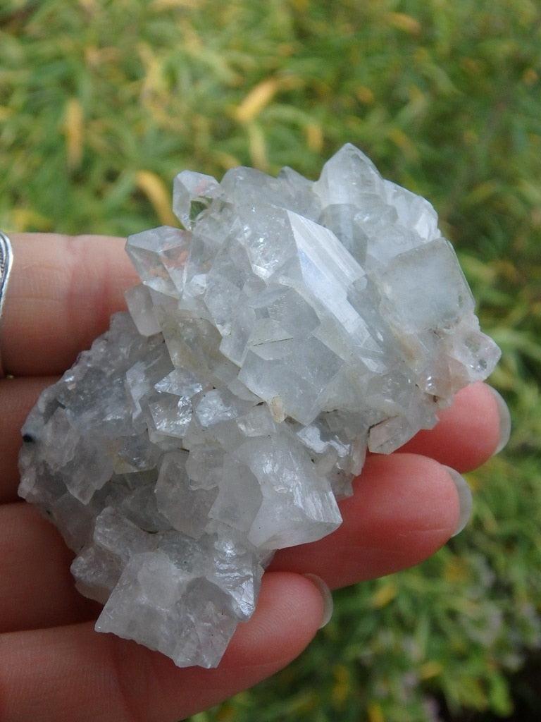 Intense Sparkle! White Apophyllite Cluster From India - Earth Family Crystals