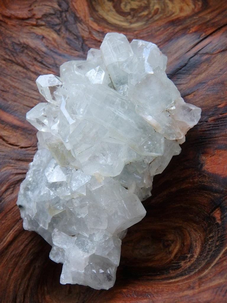Intense Sparkle! White Apophyllite Cluster From India - Earth Family Crystals