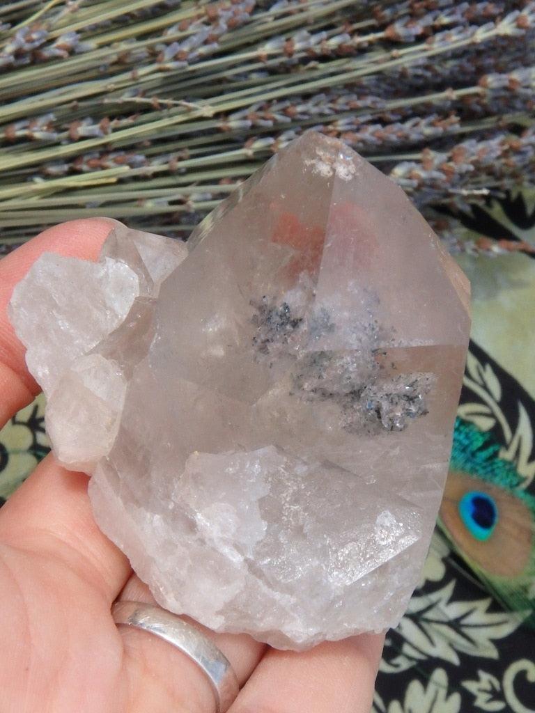 Unusual Chlorite & Shimmering Hematite Inclusions Clear Quartz Specimen - Earth Family Crystals