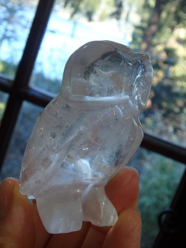 Mr Owl Clear Quartz Carving Specimen - Earth Family Crystals