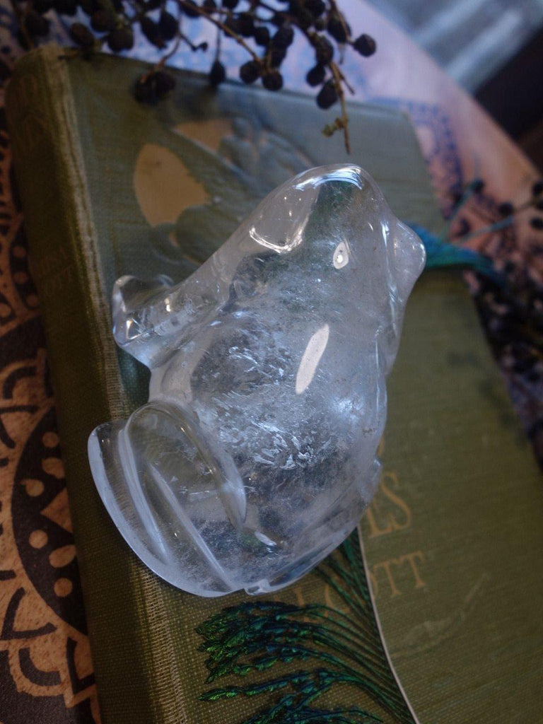 Adorable Clear Quartz Frog Carving (REDUCED) - Earth Family Crystals