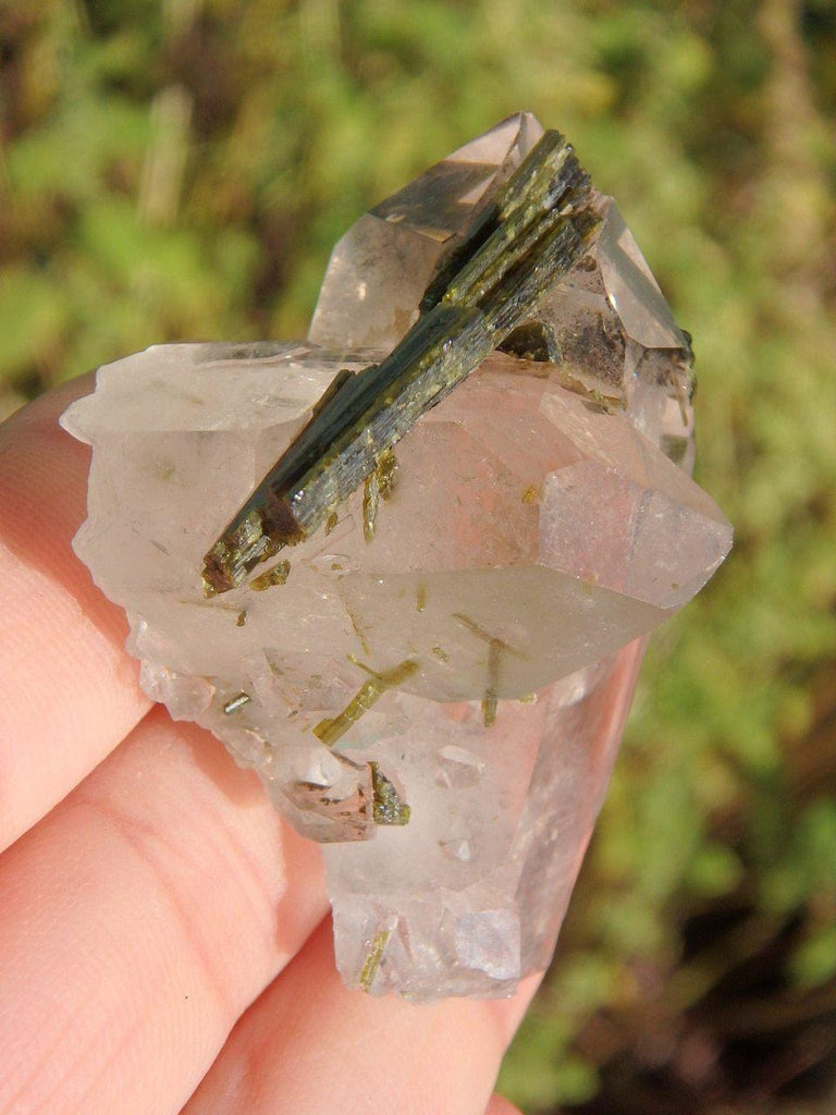 Brilliant Brazil Clear Quartz & Forest Green Epidote Blades Cluster - Earth Family Crystals
