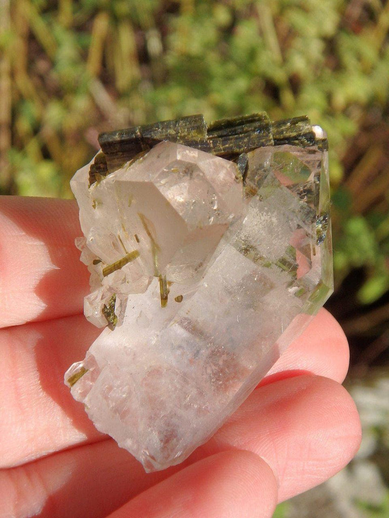 Brilliant Brazil Clear Quartz & Forest Green Epidote Blades Cluster - Earth Family Crystals