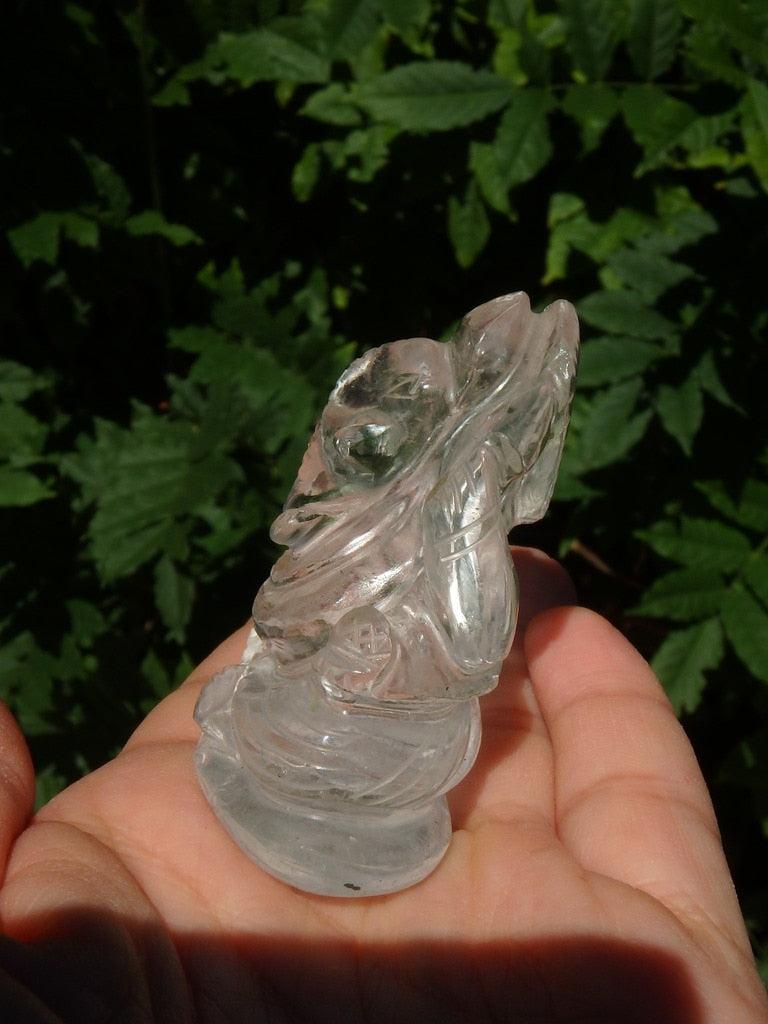 Gorgeous Ganesha Carved In Clear Quartz - Earth Family Crystals