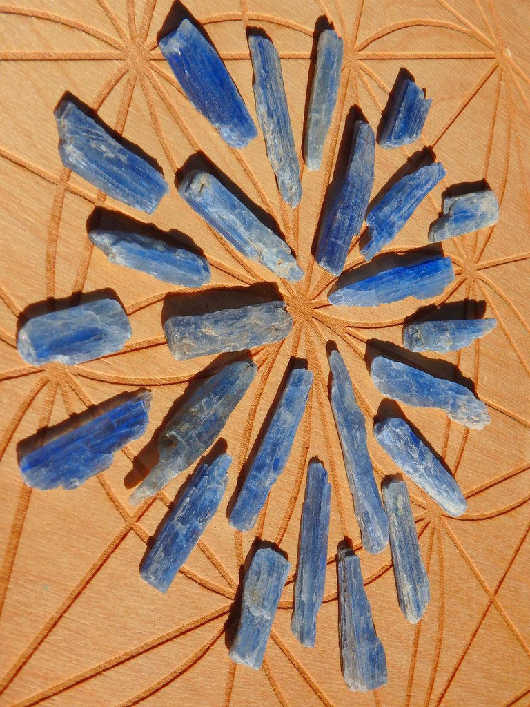 Set of 25 Raw Blue Kyanite Blades (Perfect for Jewelry Making & Grids) - Earth Family Crystals