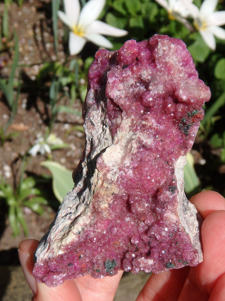 Sparkling Fuchsia Cobaltine Pink Calcite Natural Specimen - Earth Family Crystals