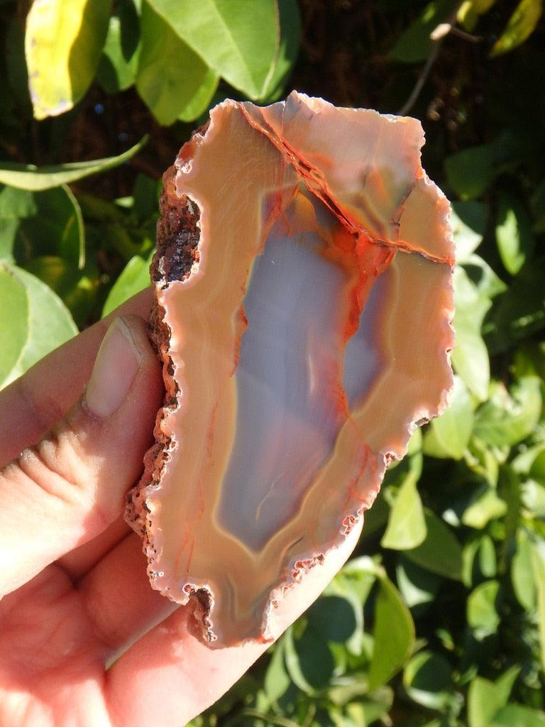 Partially Polished Condor Agate Specimen From San Rafael, Argentina 2 - Earth Family Crystals