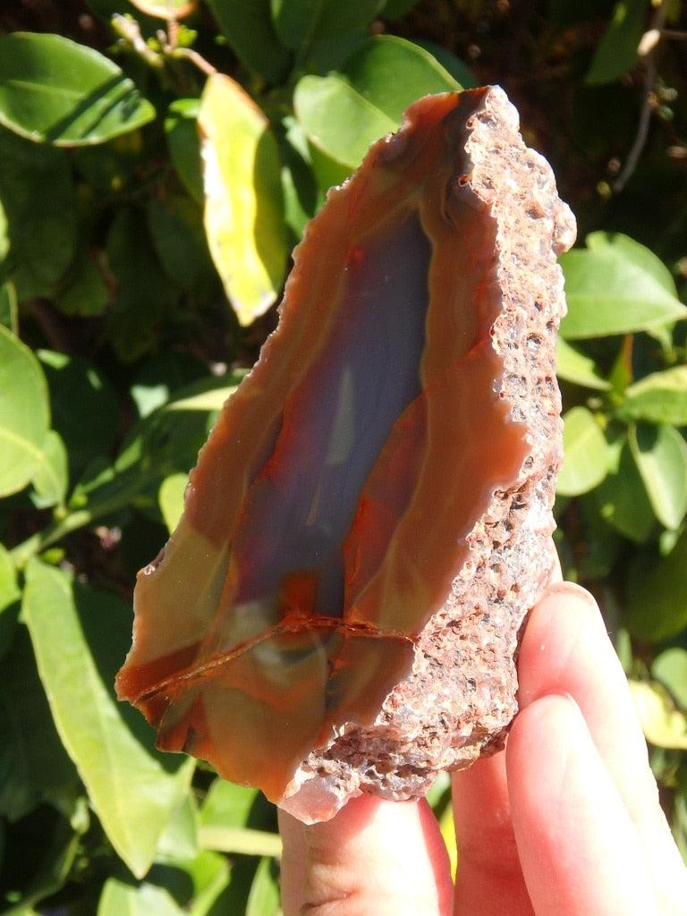 Partially Polished Condor Agate Specimen From San Rafael, Argentina 1 - Earth Family Crystals