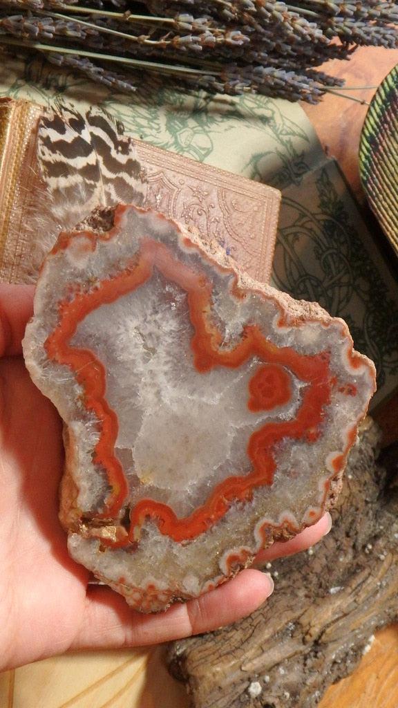 Stunning  Partially Polished Condor Agate Specimen From Argentina - Earth Family Crystals