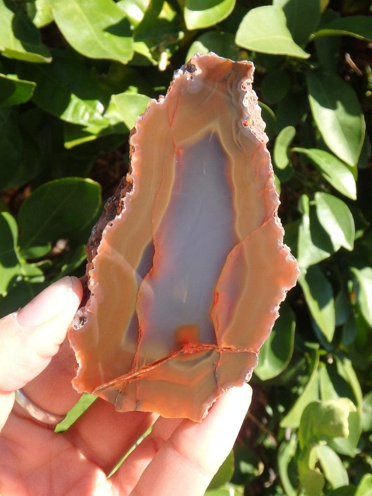 Partially Polished Condor Agate Specimen From San Rafael, Argentina 1 - Earth Family Crystals