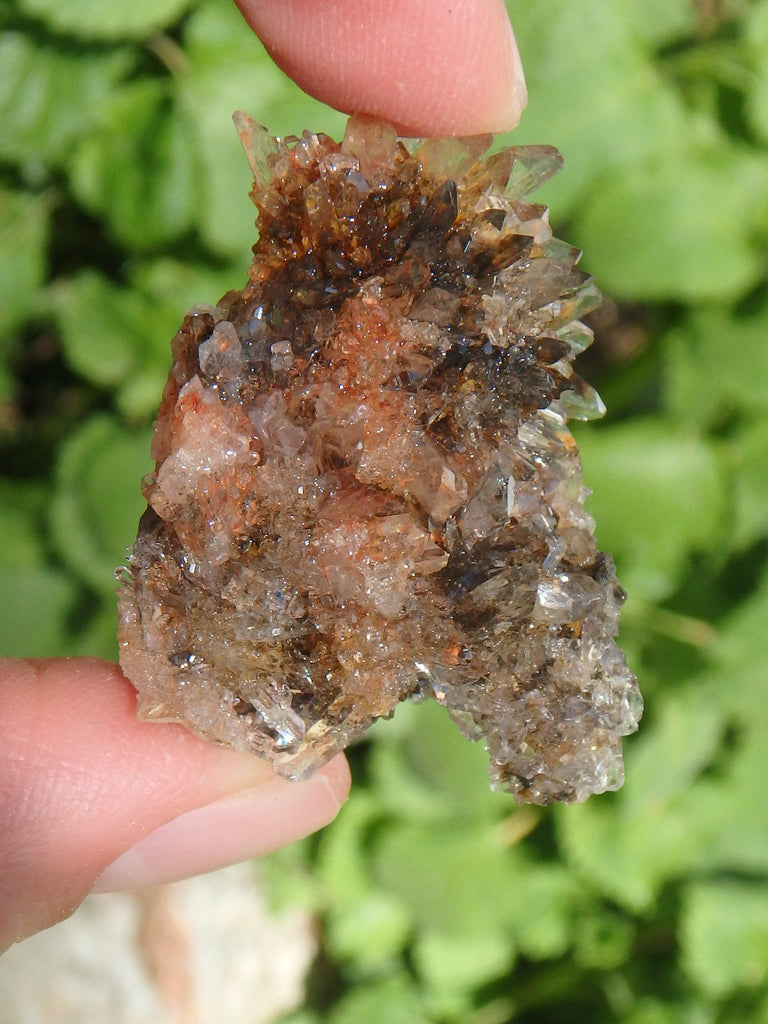 Gorgeous Sparkle Halloween Orange & Black Contrast Creedite From Mexico - Earth Family Crystals