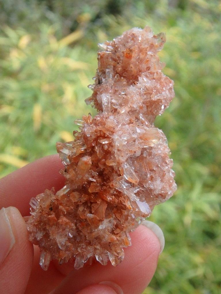 Fantastic Orange Sparkle Creedite Specimen - Earth Family Crystals