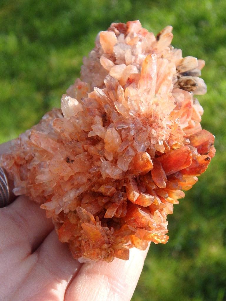 Rare! Large Vibrant Orange Creedite Cluster Specimen - Earth Family Crystals