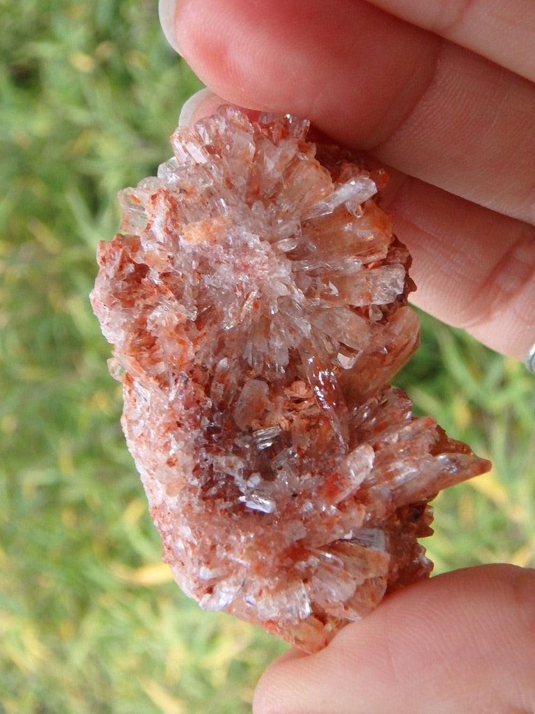 Intense Orange Creedite Specimen From Mexico - Earth Family Crystals