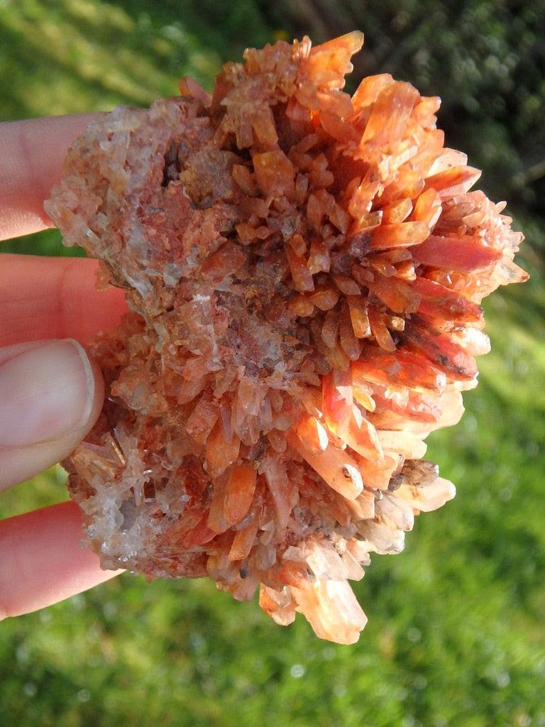 Rare! Large Vibrant Orange Creedite Cluster Specimen - Earth Family Crystals