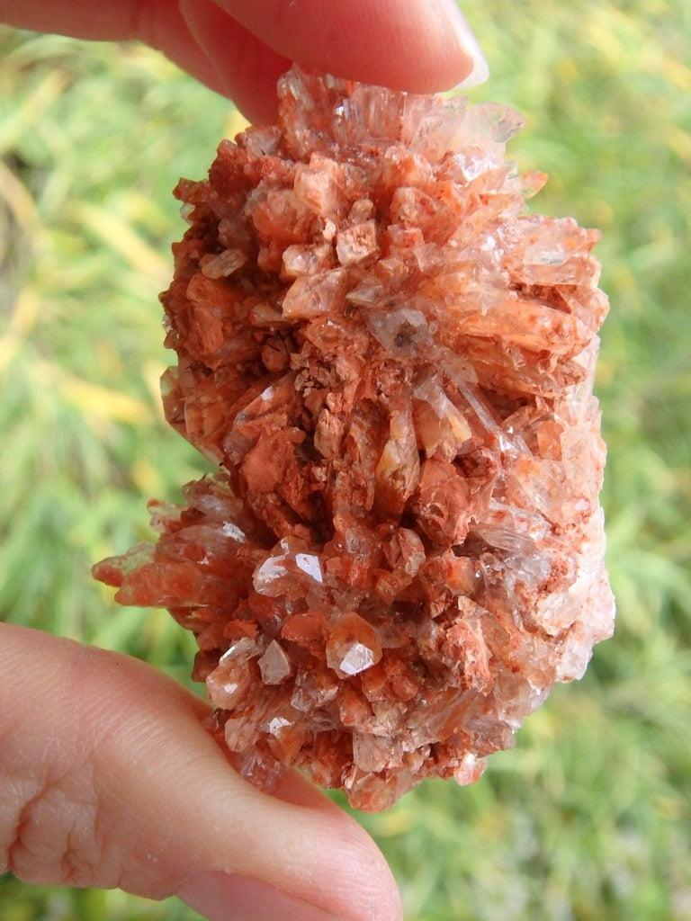 Intense Orange Creedite Specimen From Mexico - Earth Family Crystals
