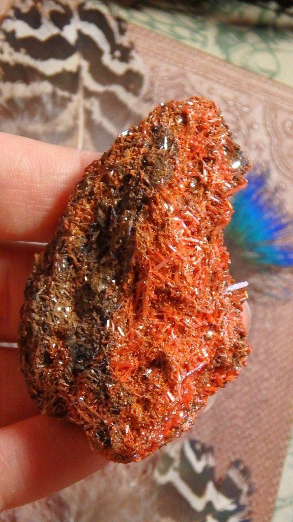 Amazing Orange Crocoite Specimen From Tasmania, Australia - Earth Family Crystals