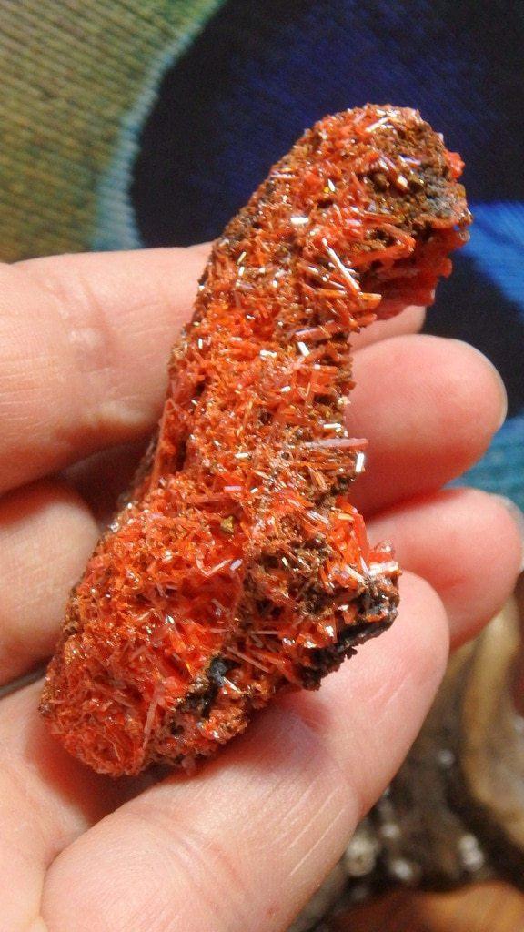 Amazing Orange Crocoite Specimen From Tasmania, Australia - Earth Family Crystals