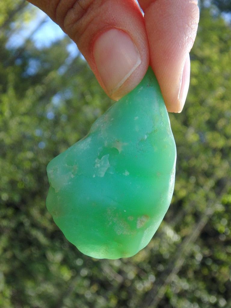 Vibrant Green Chrysoprase Raw Specimen (Drilled Hole For Potential Pendant) - Earth Family Crystals