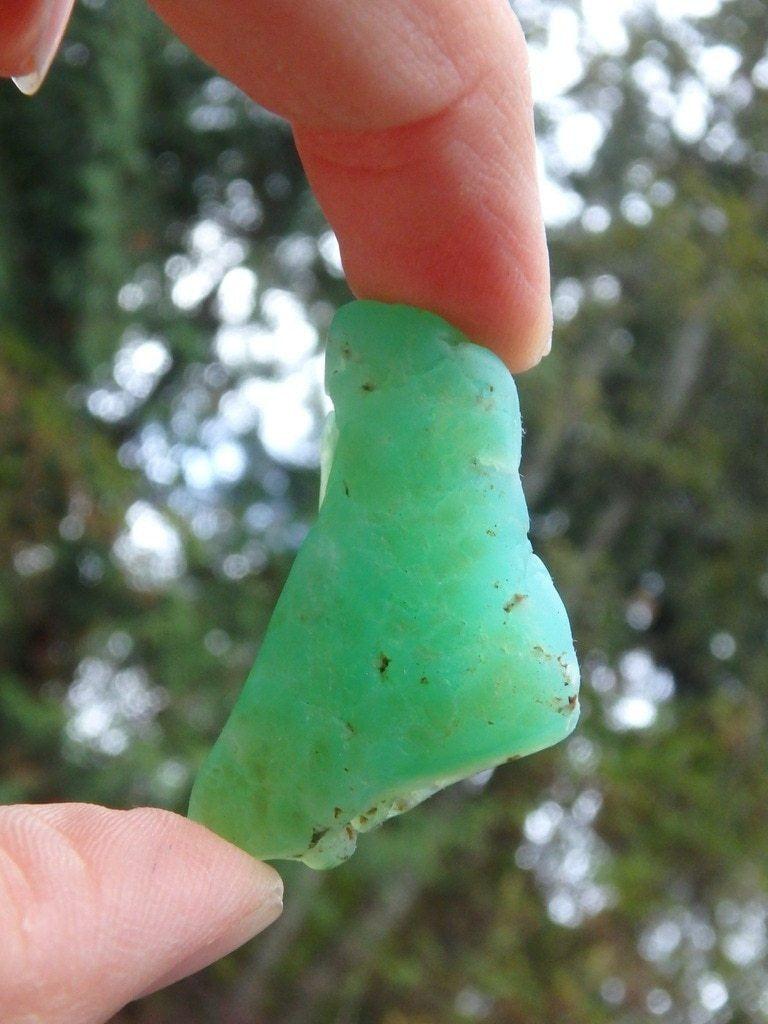 Australian Green Chrysoprase Specimen With Drilled Hole (Ideal for Pendants) - Earth Family Crystals
