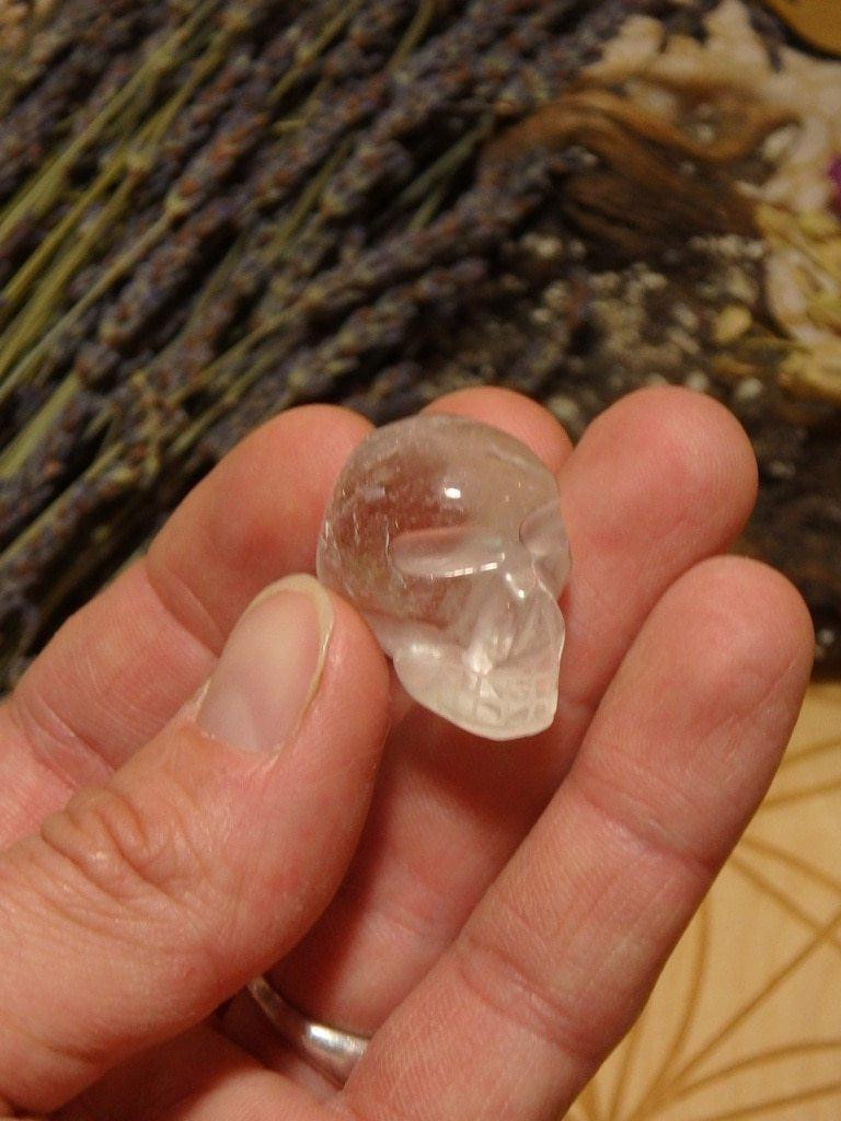 Clear Quartz Mini Skull - Earth Family Crystals