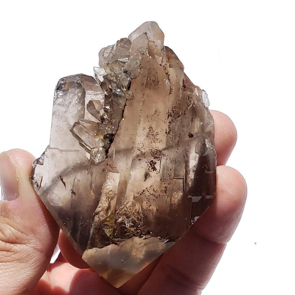 Large Gorgeous Elestial DT Smoky Quartz Specimen With Druzy From Brazil - Earth Family Crystals