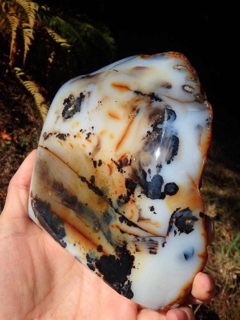 XL Incredible Landscape Dendritic Agate  Self Standing Partially Polished Specimen - Earth Family Crystals