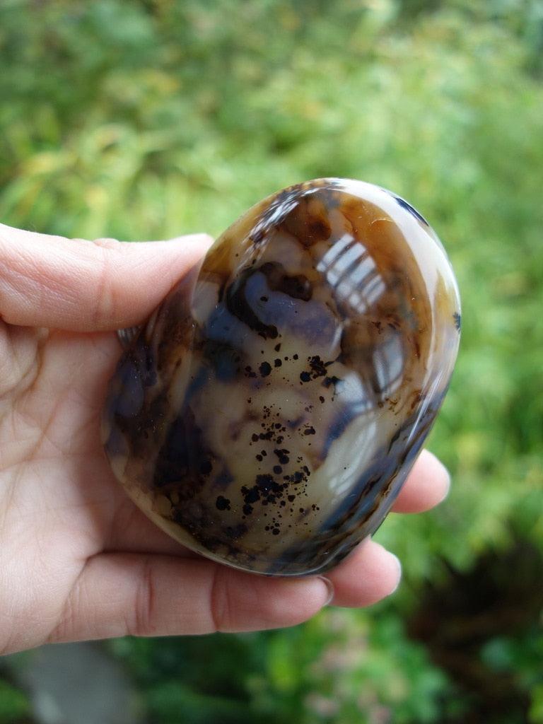 Great Depth & Color Contrast Dendritic Agate Glossy Specimen - Earth Family Crystals