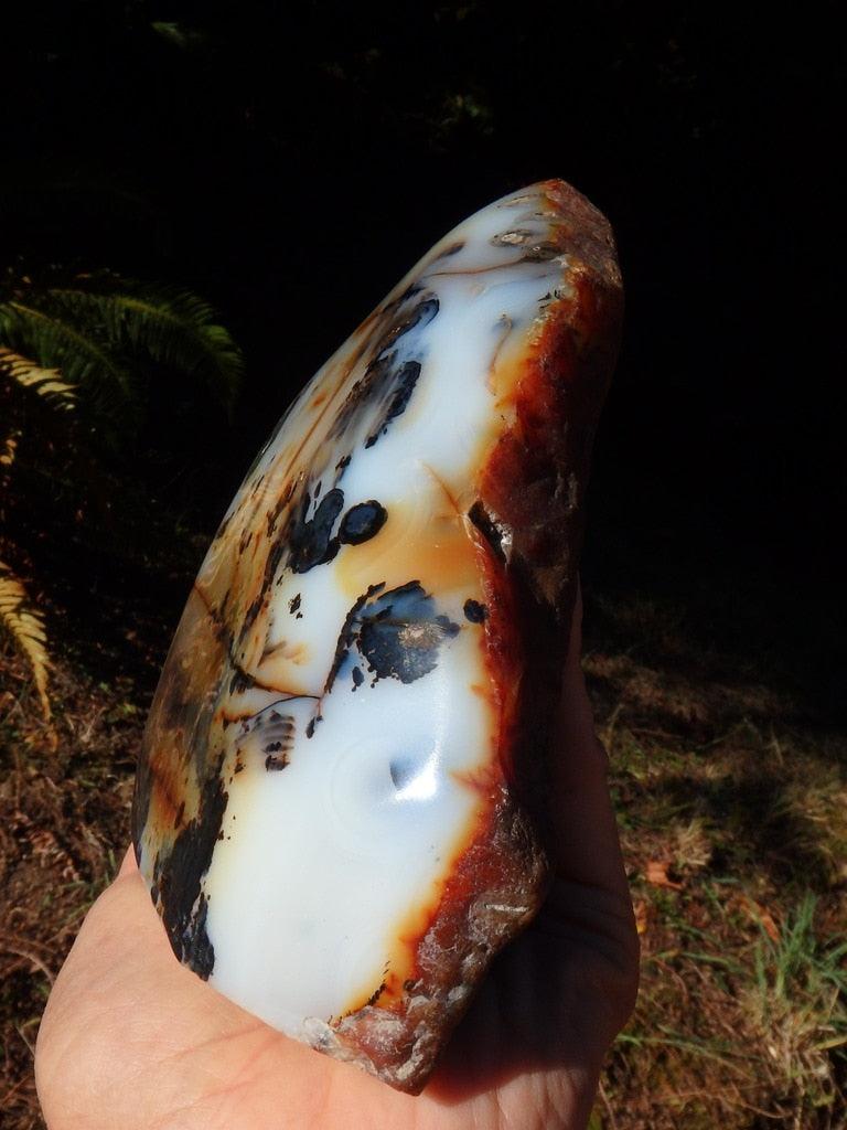 XL Incredible Landscape Dendritic Agate  Self Standing Partially Polished Specimen - Earth Family Crystals