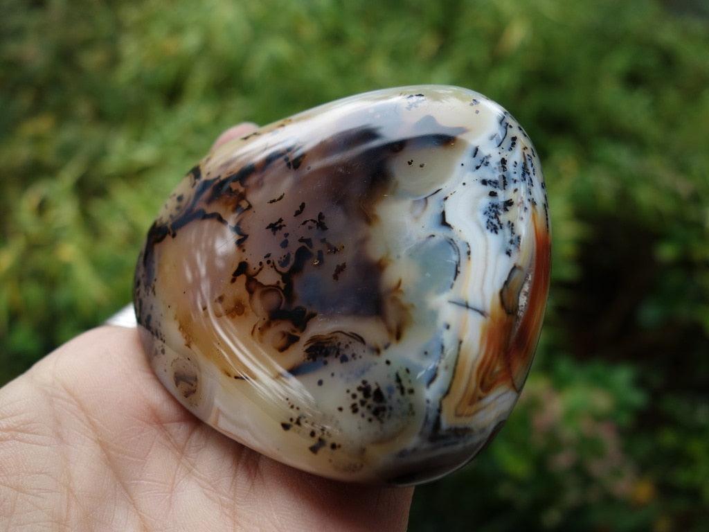 Great Depth & Color Contrast Dendritic Agate Glossy Specimen - Earth Family Crystals