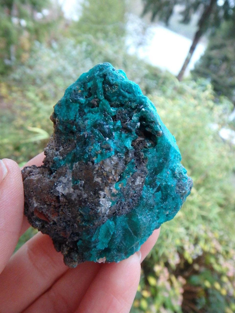 Swoon Worthy Color Dioptase Natural Specimen - Earth Family Crystals