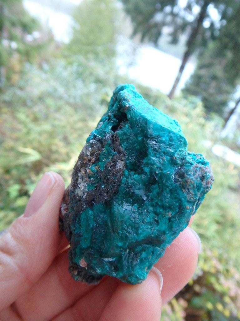Swoon Worthy Color Dioptase Natural Specimen - Earth Family Crystals