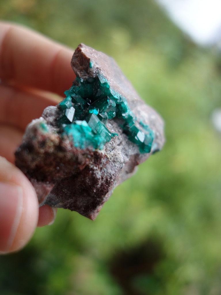 Incredible Emerald Green Dioptase in Matrix Specimen - Earth Family Crystals