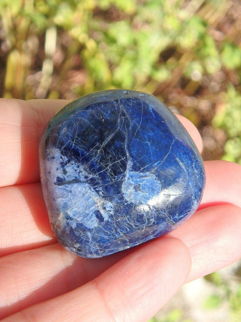 Deep Blue Dumortierite Palm Stone - Earth Family Crystals