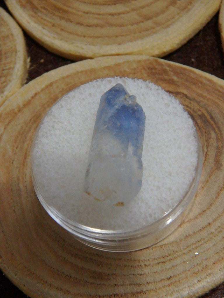 Rare Natural Blue Dumortierite in Quartz Point in Collectors Box From Brazil - Earth Family Crystals