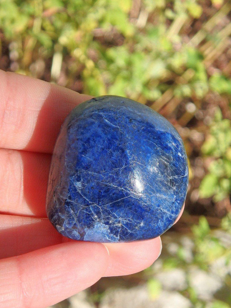 Deep Blue Dumortierite Palm Stone - Earth Family Crystals
