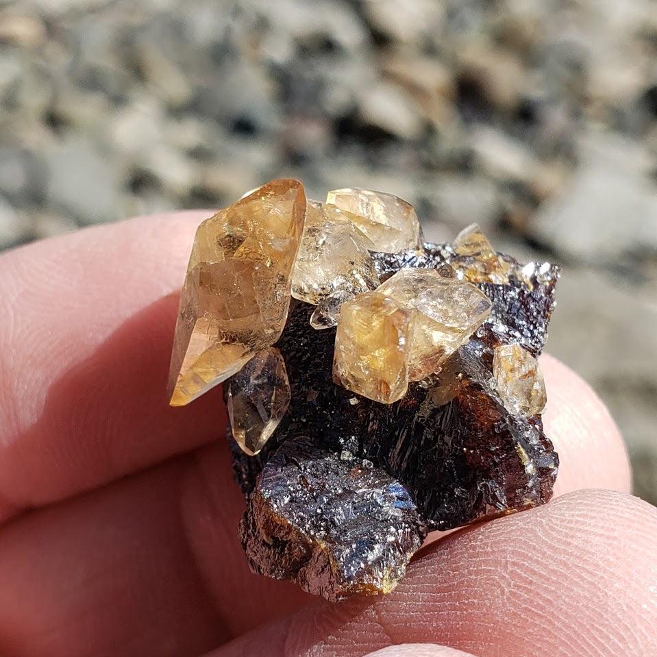 Famous Locality~Elmwood Mine Golden Dainty Stellar Beam Calcite Points nestled in Sphalerite Matrix - Earth Family Crystals