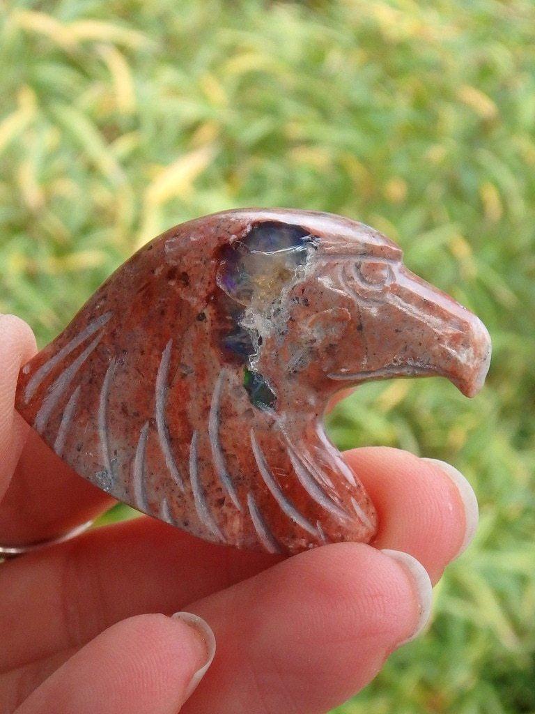 Awesome Mexican Fire Opal Eagle Carving - Earth Family Crystals