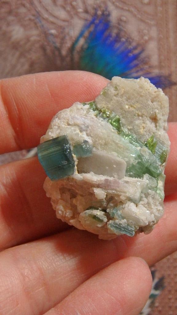 Multi Colored Elbaite  Specimen - Earth Family Crystals