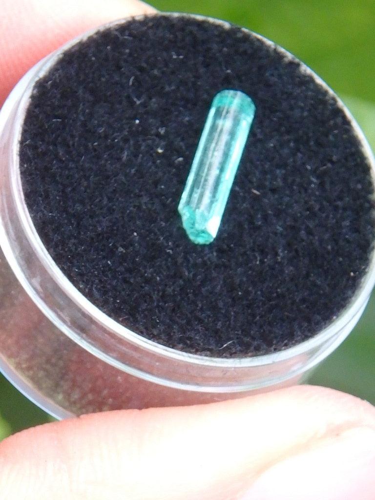 Gemmy Green Emerald Point In Collectors Box - Earth Family Crystals