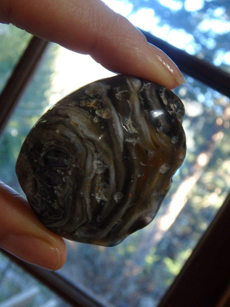 Ancient Water! Enhydro Agate Nodule With Baby From Brazil - Earth Family Crystals