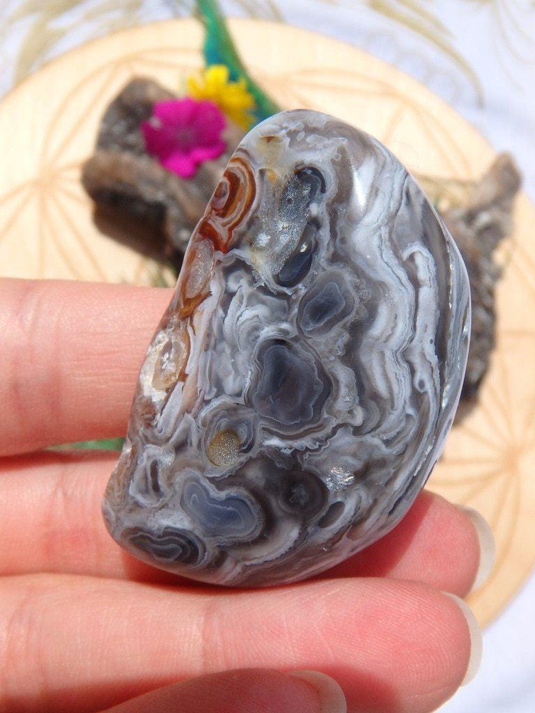 Ancient Water Included~Enhydro Filled Agate Nodule From Brazil - Earth Family Crystals
