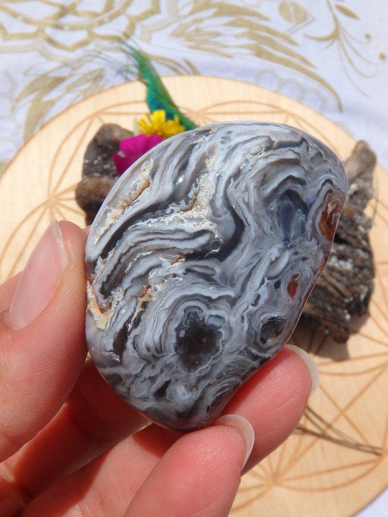 Ancient Water Included~Enhydro Filled Agate Nodule From Brazil - Earth Family Crystals